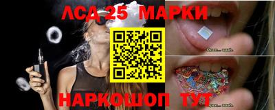 сатива Апшеронск