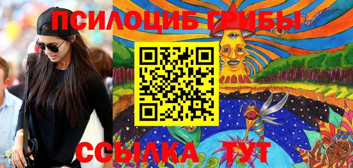Бугульма  Псилоцибиновые грибы Psilocybine cubensis  магазин продажи   Вход с VPN  Псилоцибиновые грибы мицелий 